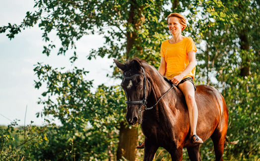 Randonnées à cheval au Viking Resort