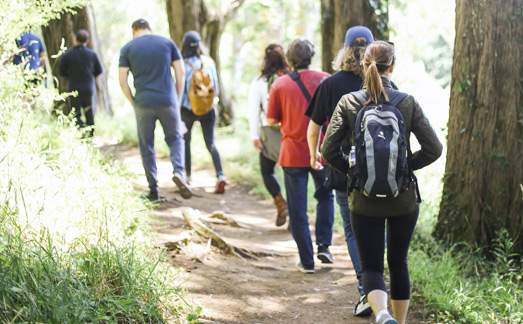 Hiking at Viking Resort