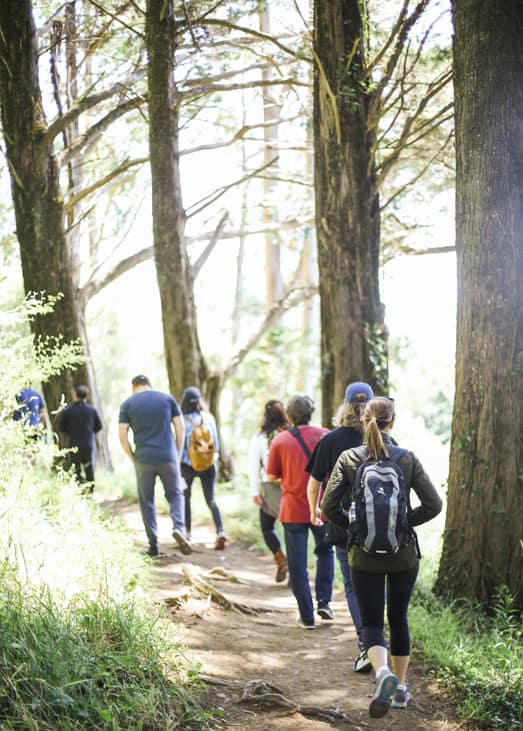 Hiking at Viking Resort